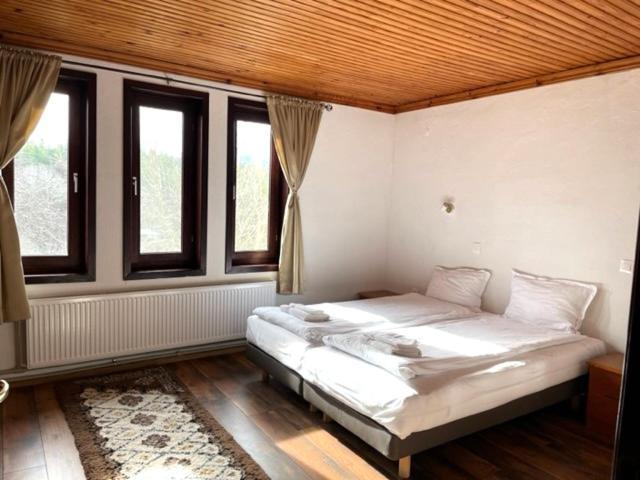 Бор И Шишарка Varzilkovtsi Exterior photo