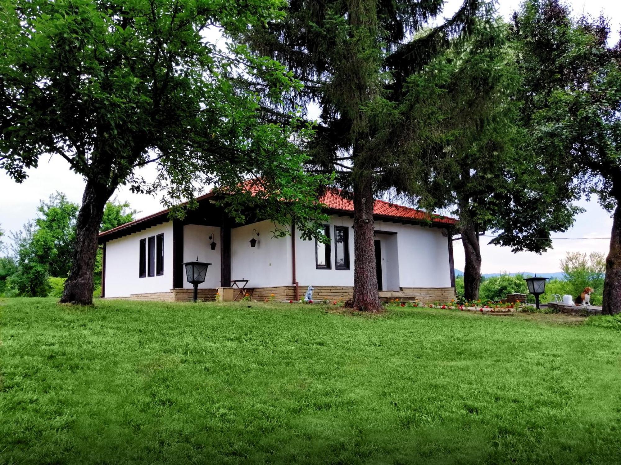 Бор И Шишарка Varzilkovtsi Exterior photo